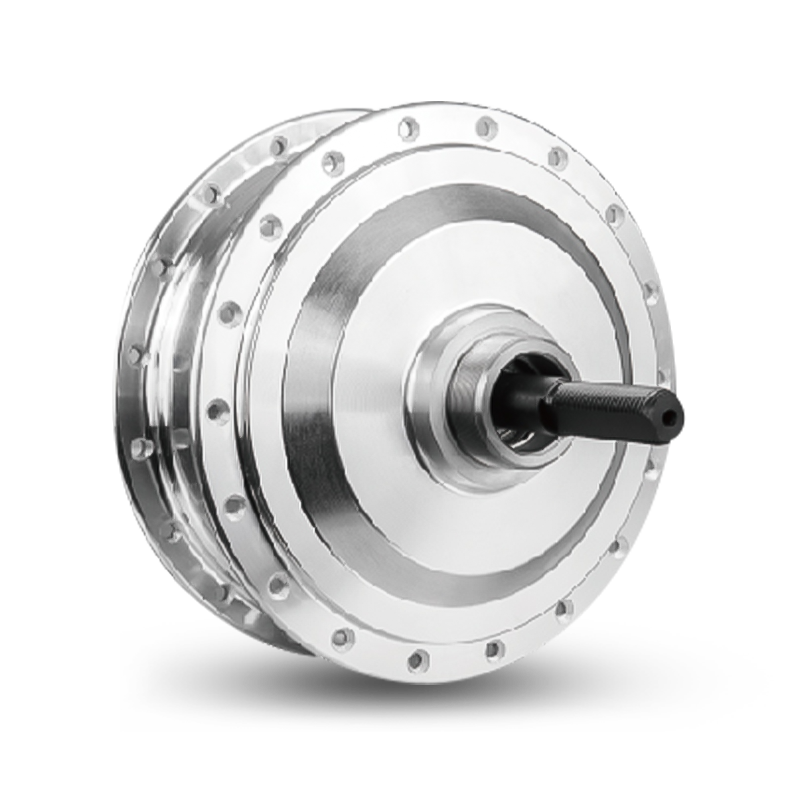 P-Type R500 Audi Hub Motor