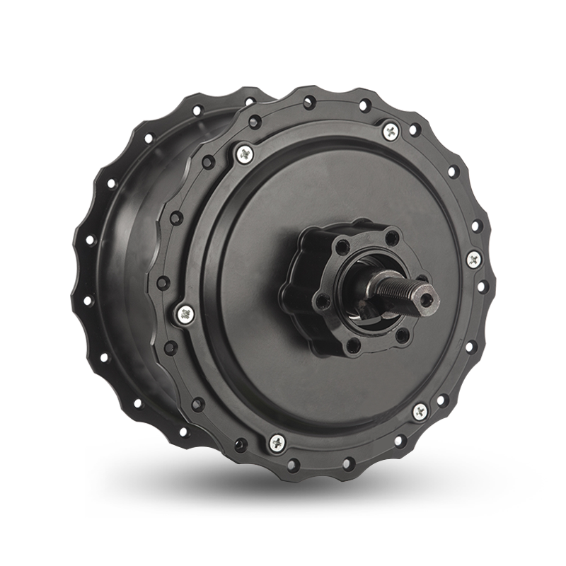 S-Type RC Audi Hub Motor